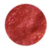 PROVOC PEARLIP Lip Coat - 01-Sunscorch